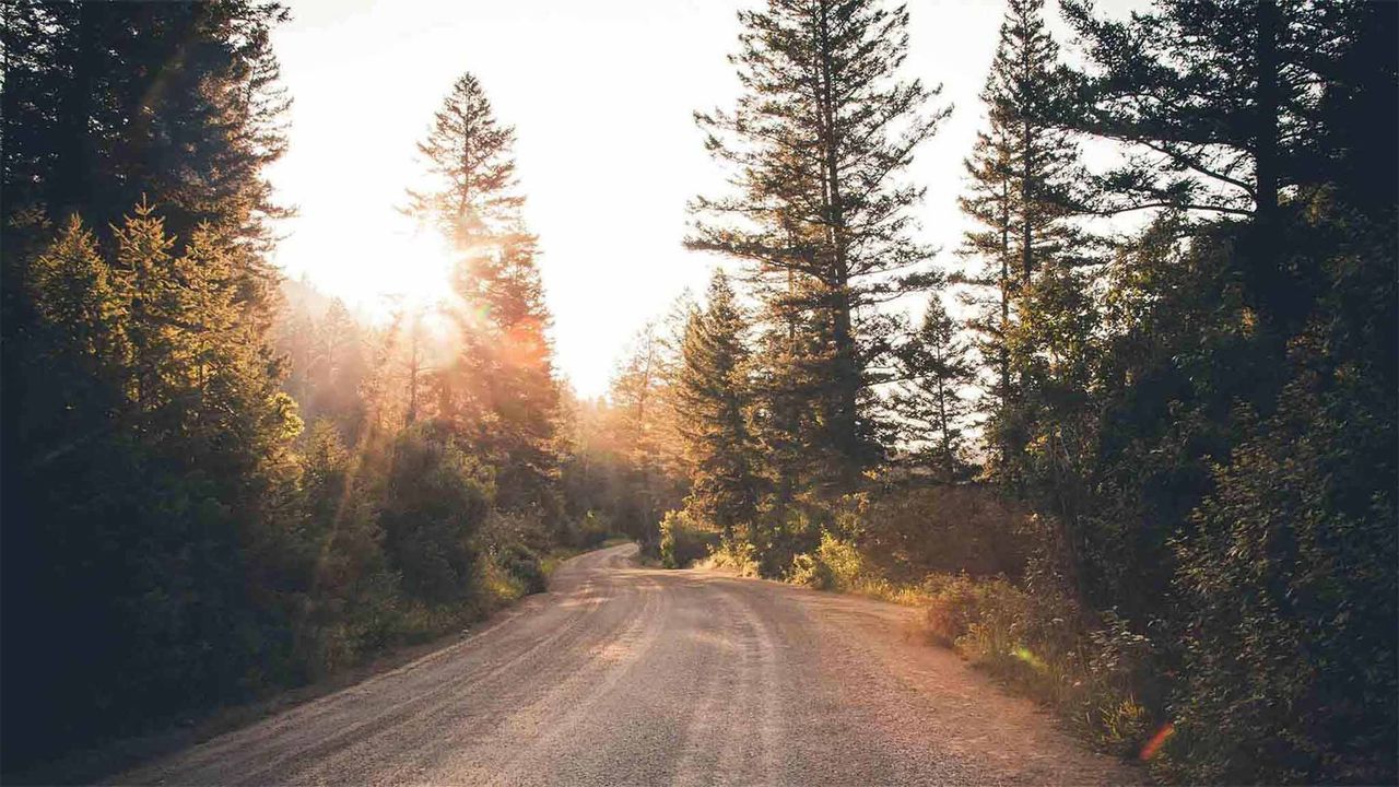 Ein unbefestigter Waldweg soll Gottes Hand in der Natur zeigen
