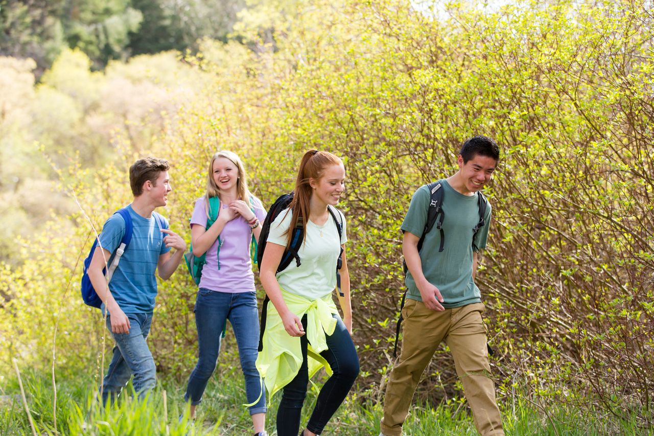 Junge Erwachsene laufen gemeinsam durch den Wald und freuen sich über das Zusammensein